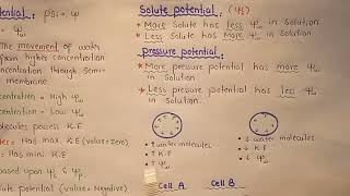 Water Potential  Solute And Pressure Potential  Class 11 [upl. by Robb]