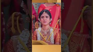 AnandhaRagam SunTV shorts tamilserial [upl. by Kerrison989]