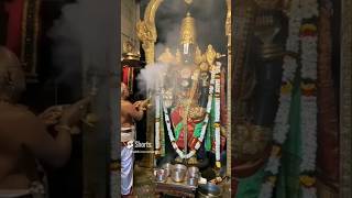 SRI VENKATESWARA SUPRABHATAM Bakthimovement [upl. by Samohtnhoj]