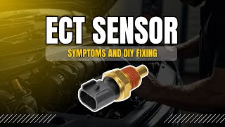 ECT Sensor Mistake Thats Costing You Money [upl. by Ydnam59]