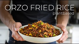 The Orzo Fried Rice FUSION Recipe nobody asked for [upl. by Noet]