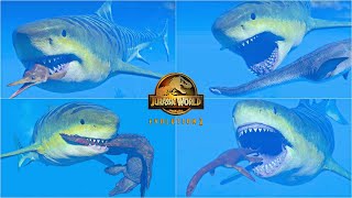 MEGALODON HUNTING ANIMATIONS VS ALL MARINE REPTILES  JURASSIC WORLD EVOLUTION 2 [upl. by Gustav]