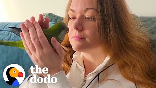 Rescue Parrot Refuses Let Mom Take A Bath Without Him  The Dodo [upl. by Toft380]