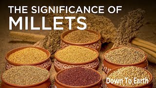 Why millets in India [upl. by Lahey]