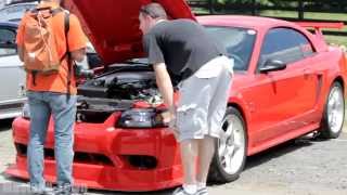 Rare 2000 SVT Cobra R Mustang Hyperfest [upl. by Darrill19]