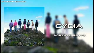 North Star Boys  CYDIA Edit Audio [upl. by Dnilazor513]