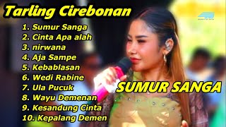 SUMUR SANGA ANIK ARNIKA FULL ALBUM TERBARU LIVE ARNIKA JAYA TARLIN CIREBONAN [upl. by Lednek]