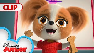 Chef Puppy Paws Doggie Treats 🍭  Doggie Treats Only Music Video 🎶  SuperKitties  disneyjr​ [upl. by Elset]