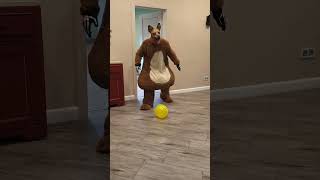 A fat shaggy dog brings balloons to the little doggie [upl. by Knoll]