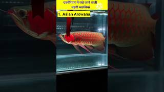 एक्वेरियम में रखे जाने वाली महंगी मछलियां  fish aquariumfish [upl. by Gavrielle]