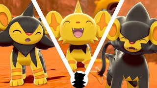 【PokemonCamp】Shinx・Luxio・Luxray vs Shiny Evolution Cute [upl. by Seek]