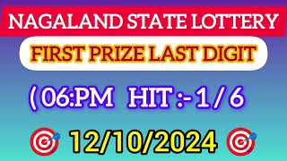 First Prize Last Digit 131024 Nagaland State Lottery Target Number Lottery Sambad Target Number [upl. by Nelyahs]