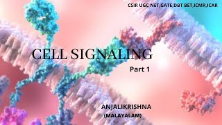 Cell signaling basicsPart 1 [upl. by Gnoz]