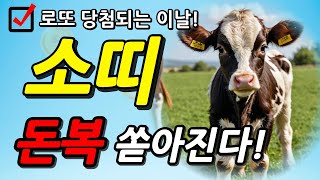 소띠 주목 2024년 9월 소띠 운명이 바뀝니다 소띠를 위한 충격적인 운세 2024년 대박나는 소띠운세 49년생 61년생 73년생 85년생 97년생 소띠 운세 재물복 재물운 [upl. by Ynattir]