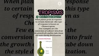 tropisms  tropic movement  neet2023 cbse [upl. by Gannie979]