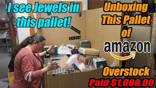 Unboxing a pallet of Amazon overstock and we found Jewels Pet items Gnomes and more [upl. by Miquela430]