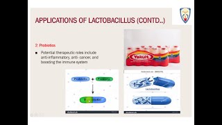 LactobacillusBacteriaInCurdProbiotics [upl. by Noonberg504]