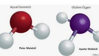 Molekül polar lıgı veya apolarlıgı [upl. by Sacul]