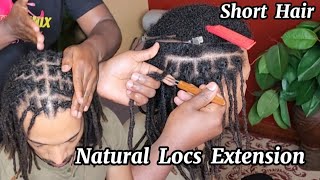 Full Episode  How to Attach Natural LOCS on Short Hair [upl. by Madalena]