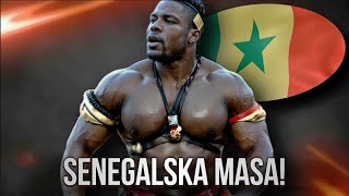 PRZERAŻAJĄCE Metody Senegalskich Gigantów [upl. by Zeke]