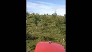 Kubota l4100 hst mowing [upl. by Fish]