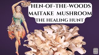 Hen Of The Woods Maitake Mushroom  The Healing Hunt [upl. by Nahtannoj270]