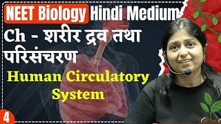 NEET Biology  L4  Human Circulatory System  शरीर द्रव तथा परिसंचरण BODY FLUIDS AND CIRCULATION [upl. by Walling]