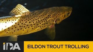 Lake Eildon Fishing  Trolling for trout [upl. by Lundberg903]