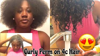 TRYING A CURL TEXTURIZER ON MY NATURAL HAIR 🥲 [upl. by Rhyner400]