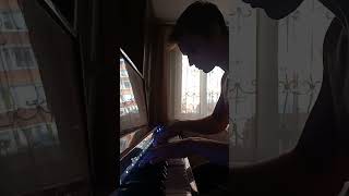 Wrecked  Imagine Dragons Piano Cover  Peter Buka Version [upl. by Yaras]