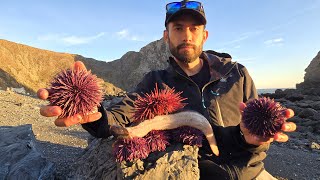 Eels and Uni Sea Urchin  Best Yield Ive Ever Seen [upl. by Aikcin533]