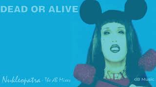 Dead Or Alive  Nukleopatra  The dB Mixes [upl. by Lirbaj]