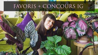 MES 5 CALATHEA PRÉFÉRÉS  CONCOURS SUR MON IG [upl. by Lang]