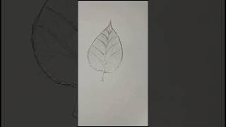 How to draw a leaf drawingEasy leaf drawing tutorial video [upl. by Baecher821]