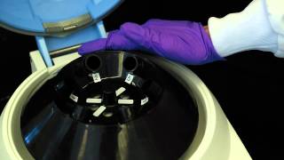 How to Use a Centrifuge [upl. by Brenna]