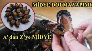 MİDYE HAKKINDA HERŞEY MİDYE DOLMA YAPIMI [upl. by Assirahs]