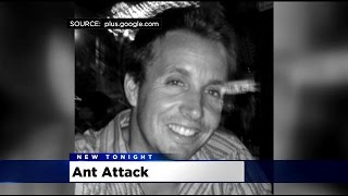 California Highway Patrol Officer To Be Honored For Saving Motorist From Ant Attack [upl. by Wendall]