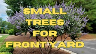 10 BEST All Season Small Trees For Front Yard  Low Maintenance Dwarf Trees for Landscaping [upl. by Nilyam81]