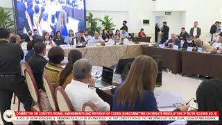 Part 4 Senate Hearing on Charter Change Hearing 2024 100 Foreign Ownership Philippines [upl. by Ronile35]