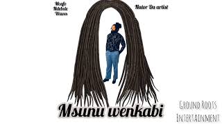 group roots msunu wenkabi beef respond back to big Zulu ft Mcafo Ndebele Waves x Nator Da Artist [upl. by Yadnus]