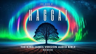 The Book of Haggai KJV  Audio Bible FULL by Max McLean audio bible audiobook scripture kjv [upl. by Narcho673]