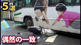 気味が悪いほどの偶然の一致５選 ある兄弟の死に多すぎた共通点が世にも奇妙すぎる [upl. by Kleiman]