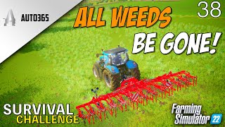 THIS SHOULD SETTLE THE WEEDS  New Lands  Survival  Farming Simulator 22  EP 38 [upl. by Nylacaj]