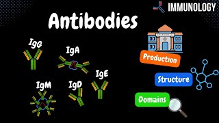 Antibodies Origin Components Domains IgG IgM IgA IgD IgE TABLE  Immunology [upl. by Nyrahtak182]