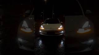 2024 Tesla Holiday Update NEW OFFICIAL LIGHT SHOW UNVEILED  Tesla Model 3  The Arrival [upl. by Ellegna]