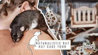 Naturalistic Rat Cage Tour 🐀🌿  how to SET UP a RAT CAGE [upl. by Nnylacissej]