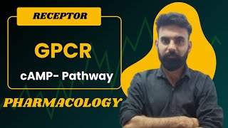 Understanding GPCRs cAMP Pathway Pharmacology Lecture by Naveen Gujjar Sir [upl. by Akinor]