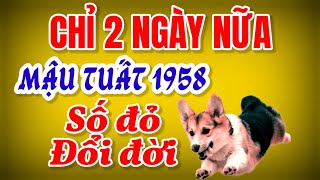 Mậu Tuất 1958 Chỉ 2 Ngày Nữa Thôi Sẽ Gặp Vận May Lớn Lộc Trời Ban Đến Cực Bất Ngờ [upl. by Hermy]