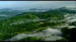 Dilmah Conservation environment song [upl. by Tillford]