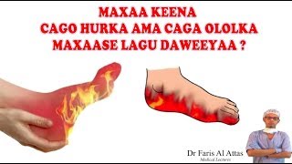 MAXAA KEENA CAGO HURKA AMA CAGA OLOLKA MAXAASE LAGU DAWEEYAA Dr faris [upl. by Notna]